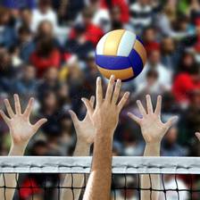 Voleibol