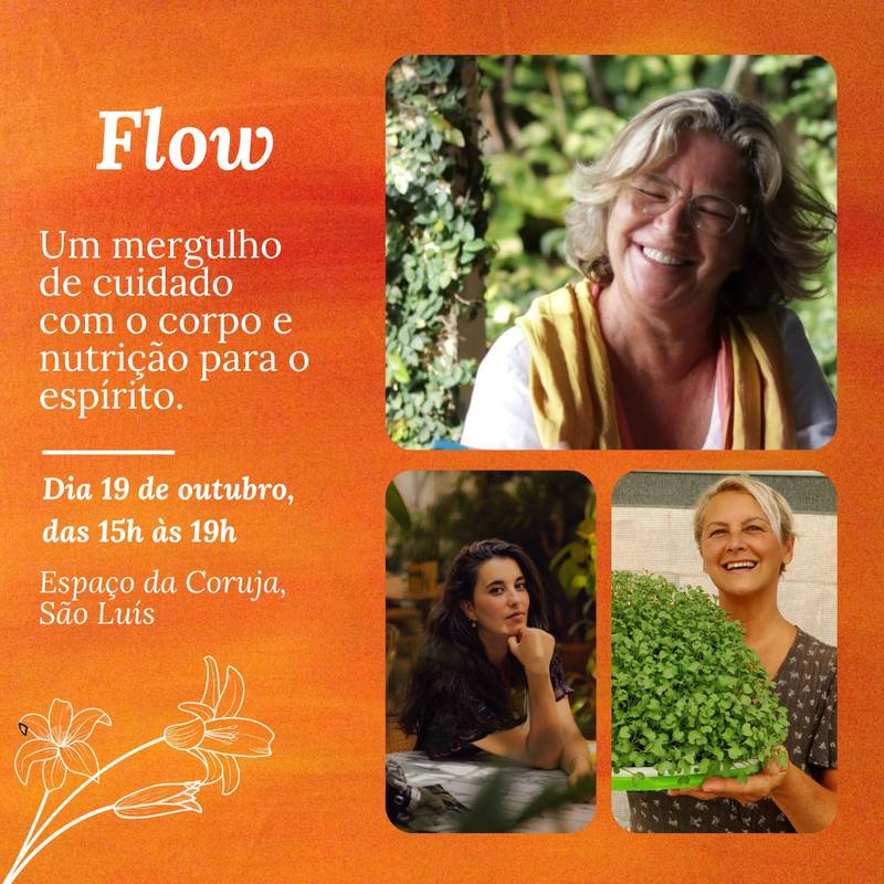 FLOW, um quase retiro