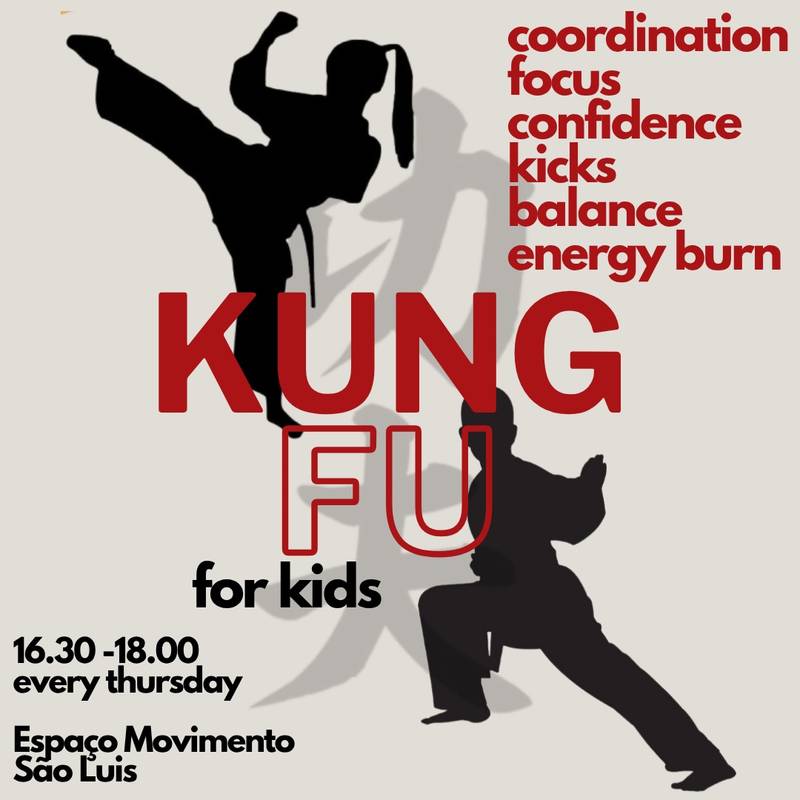 Kungfu classes for kids