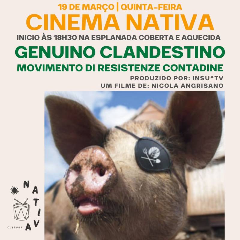 Cinema Nativa