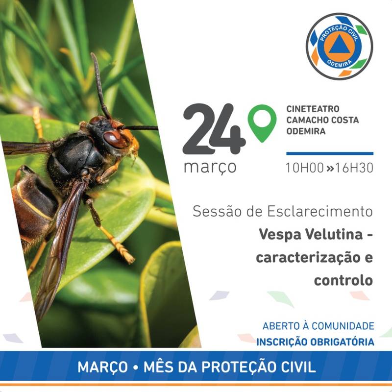 Sessão de esclarecimento “Vespa Velutina – Caracterização e Controlo”