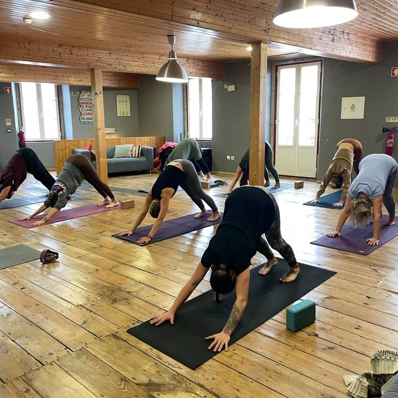 Yoga Hatha Flow
