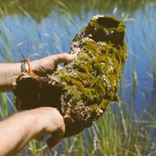 Open Day for the Planet…