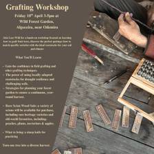 Workshop de enxertia