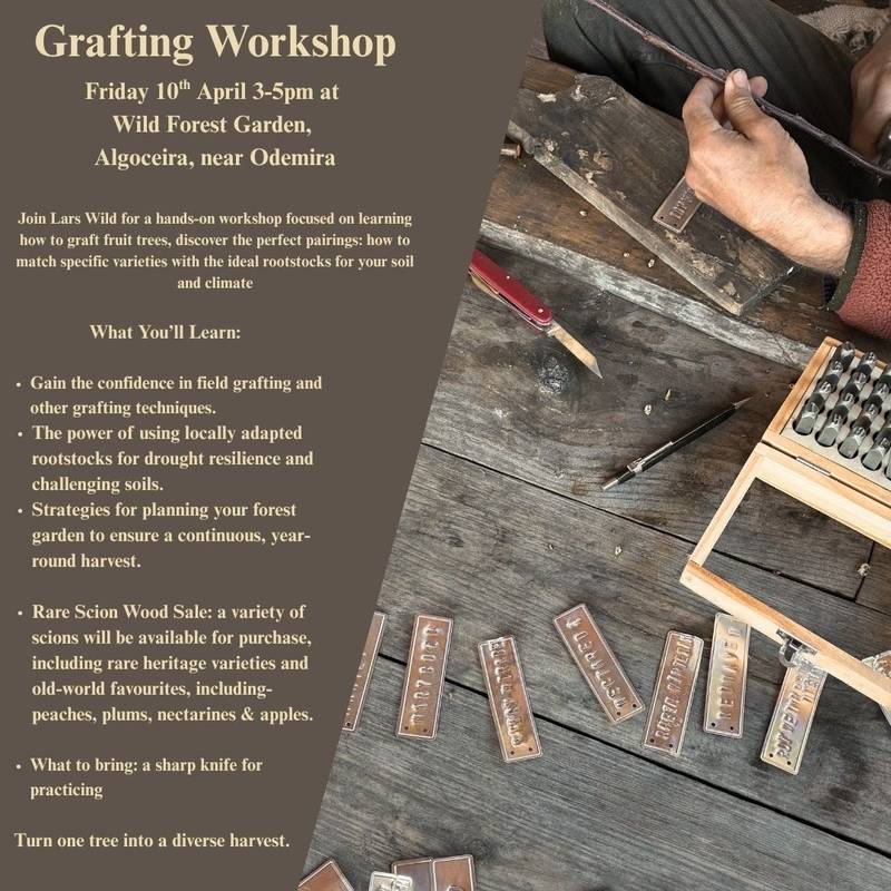 Workshop de enxertia