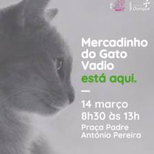 Gato vadio