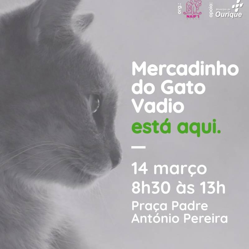 Gato vadio