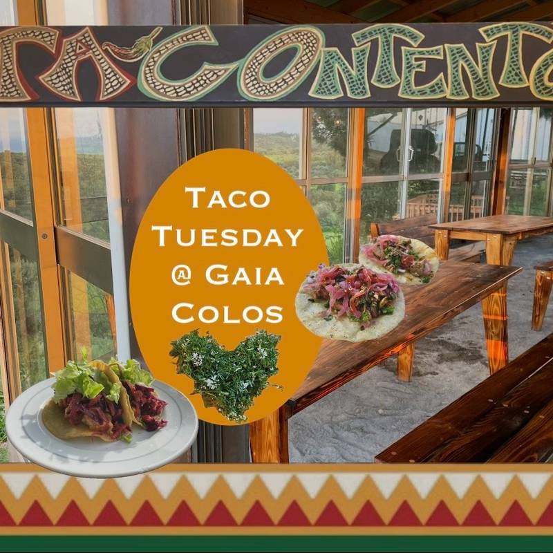 Terça-feira de Tacos