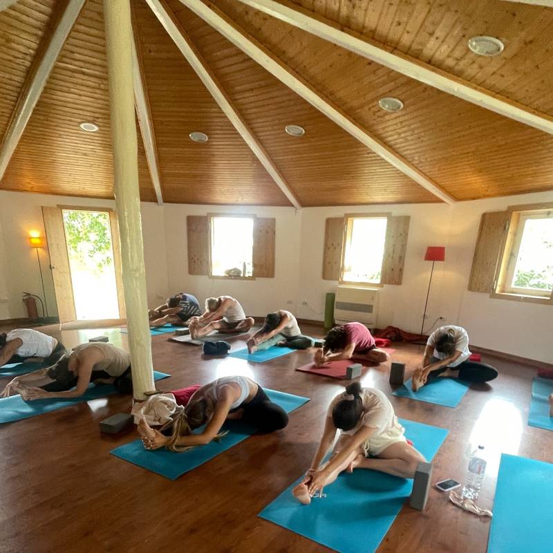 Yoga Hatha Flow
