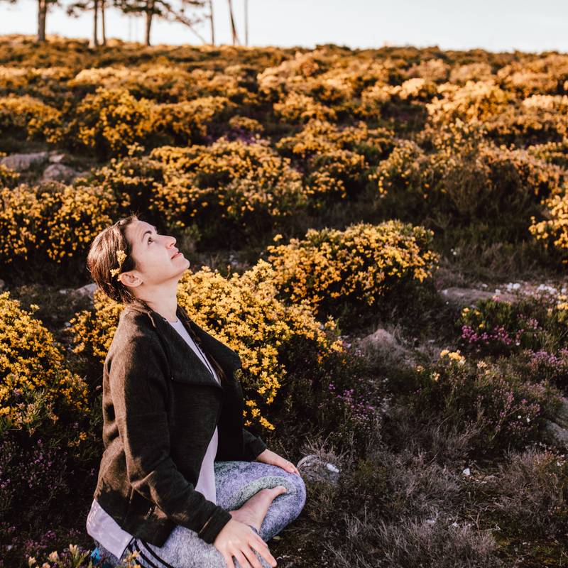 Kriya do Himalaia, Kundalini e Meditação