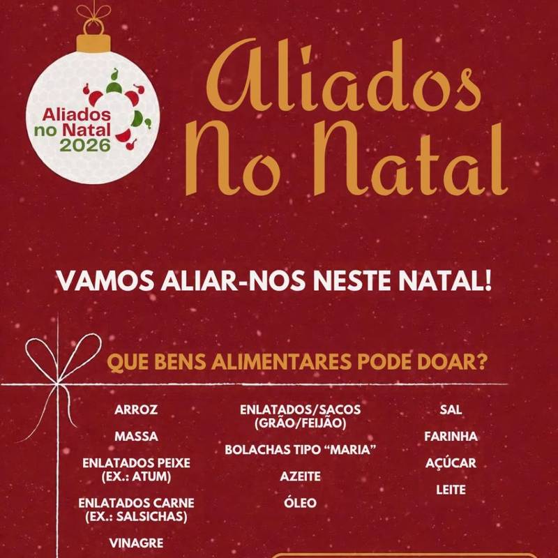 24.ª campanha solidária “aliados no natal”