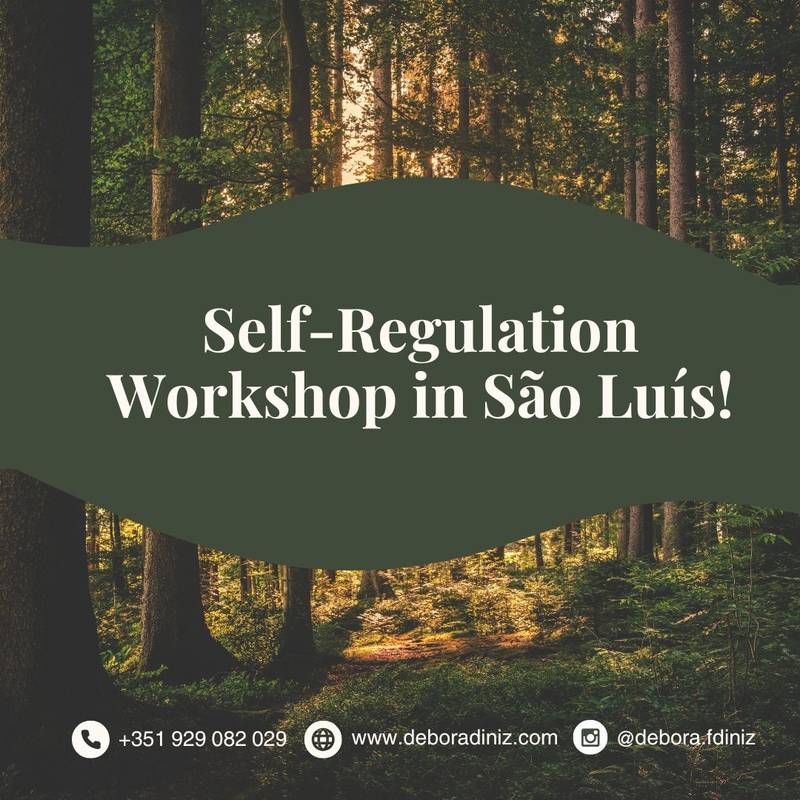 Workshop de autorregulação