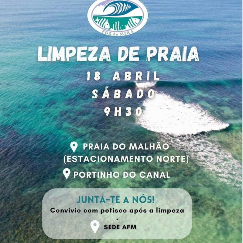 Uma ação de limpeza de praias