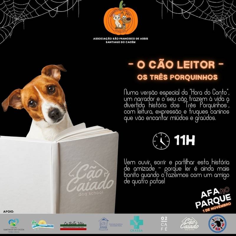 AFA no Parque