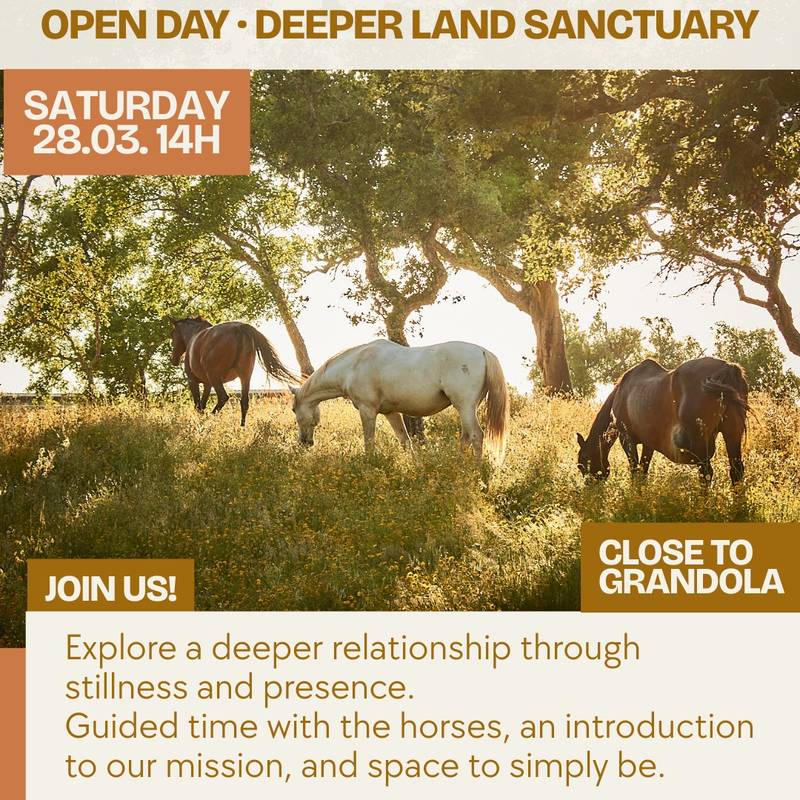 Jornada de portas abertas no Deeper Land Sanctuary