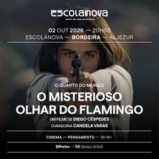 Filme:  “o Misterioso Olhar do Flamingo”