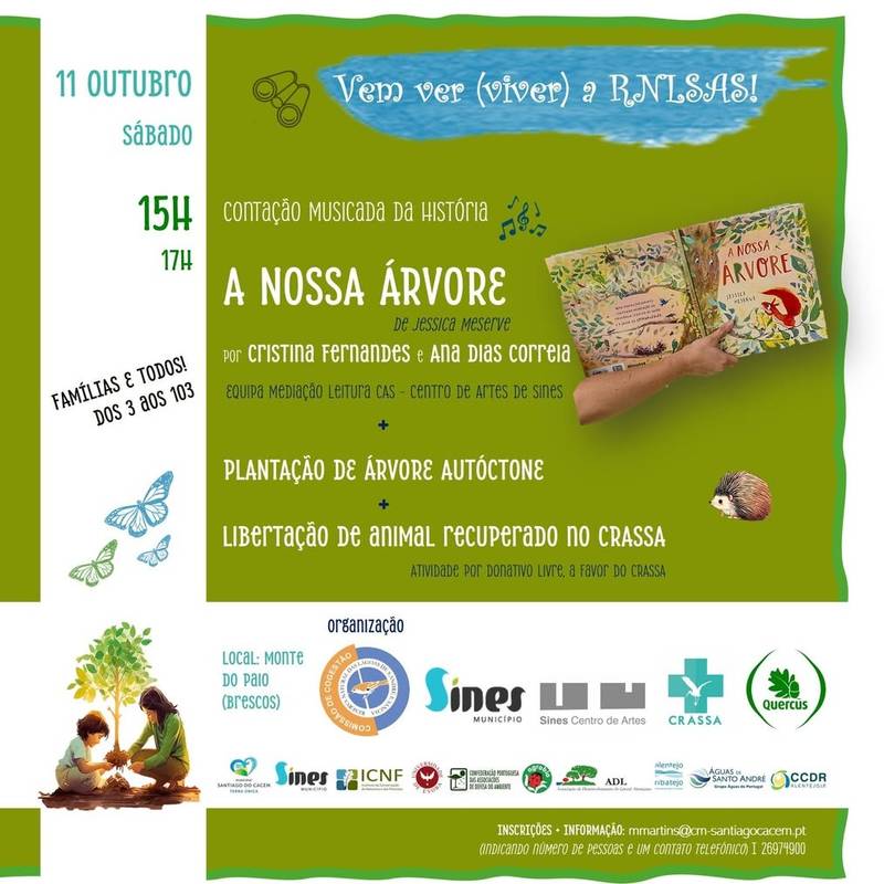 Em ver(viver) a rnlsas
