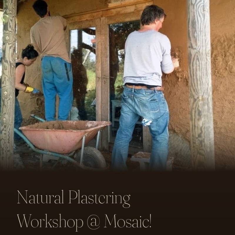 Natural Plastering Workshop · @ Mosaic!