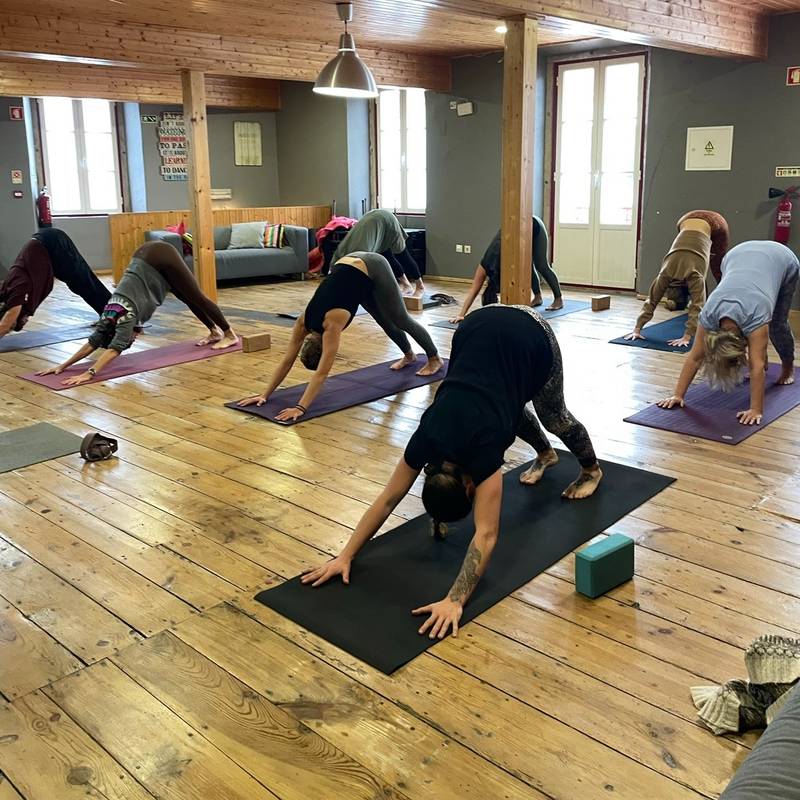 Yoga Hatha Flow