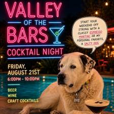 Noite de Cocktails