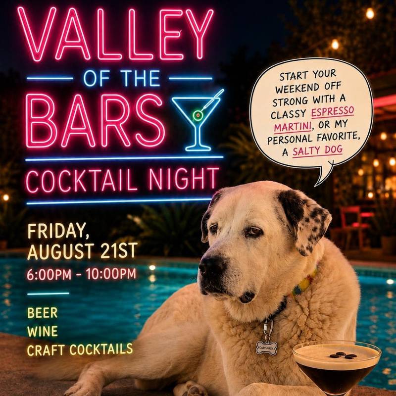 Noite de Cocktails