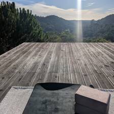 Yoga entre os sobreiros
