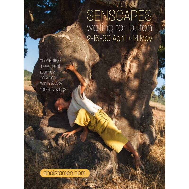Senscapes