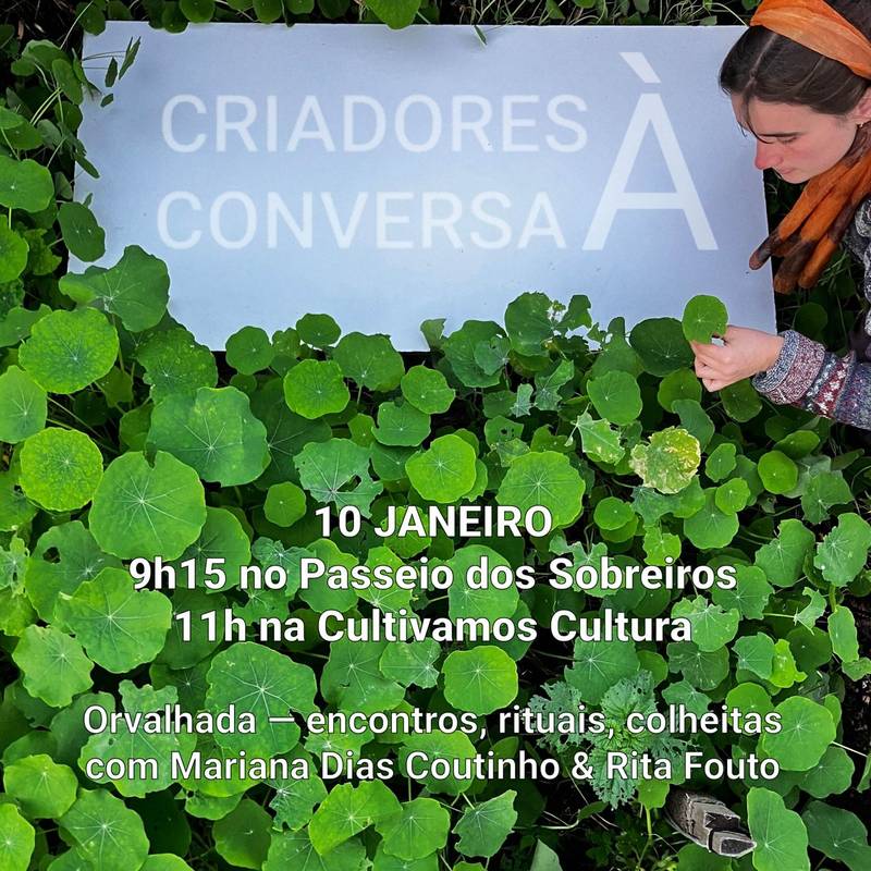 Criadores à Conversa