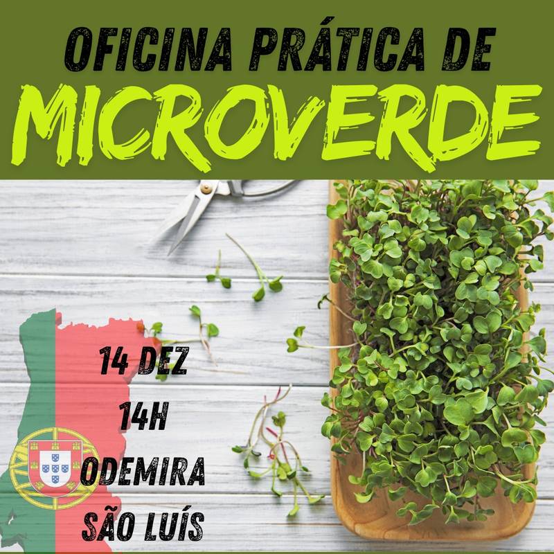 OFICINA PRÁTICA DE MICROVERDES