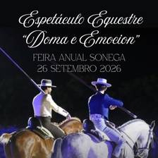 Equestrian Show "Training and Excitement"