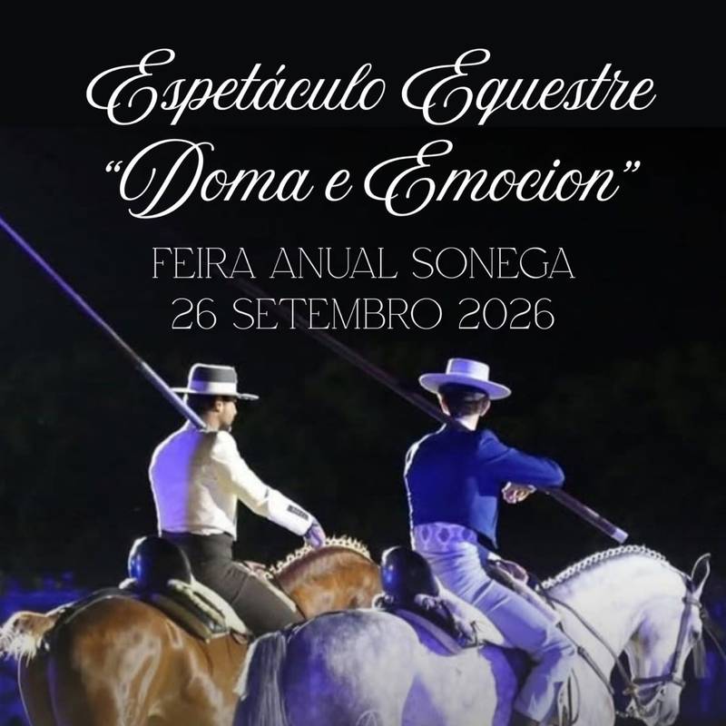 Equestrian Show "Training and Excitement"