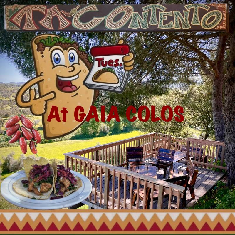 ((((TACO TUESDAY))))